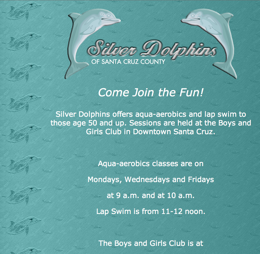 silver dolphins website