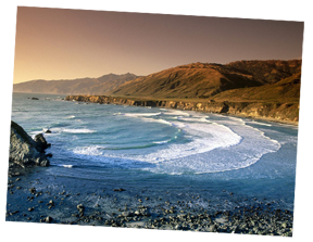 Sand Dollar Beach