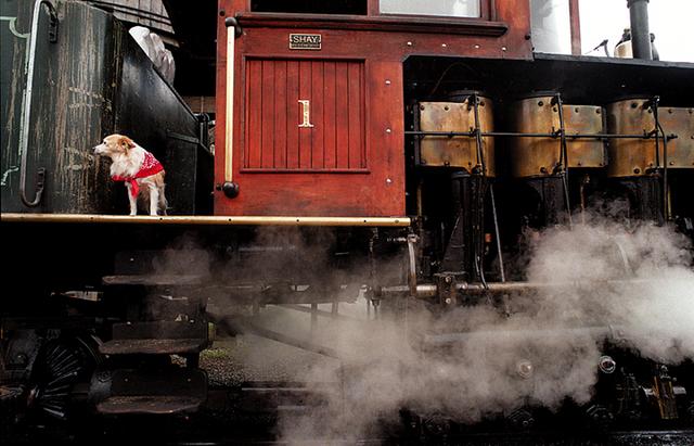 Roaring Camp