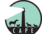 CAPE logo