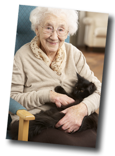 old woman and cat