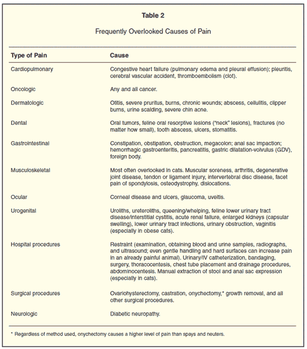 pain in animals chart