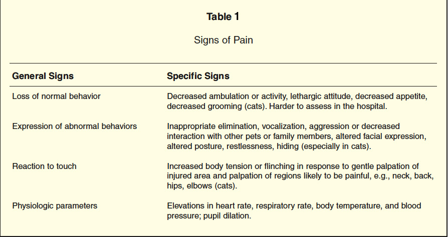 pain signs